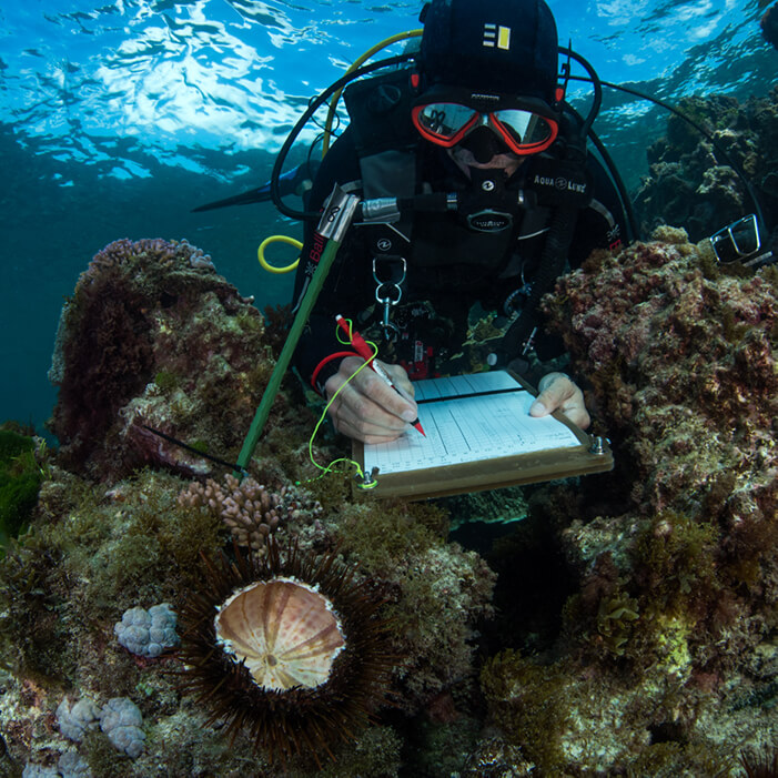 Diver recording reef research data
